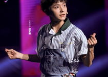 宋文鑫个人资料,才华横溢的青年才俊，多领域成就斐然