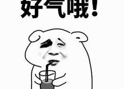 怒我直言表情包