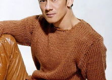 任天野个人资料老婆,揭秘硬汉背后的温柔佳人