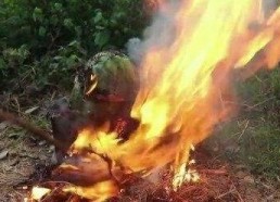 暗黑吃瓜官网入口